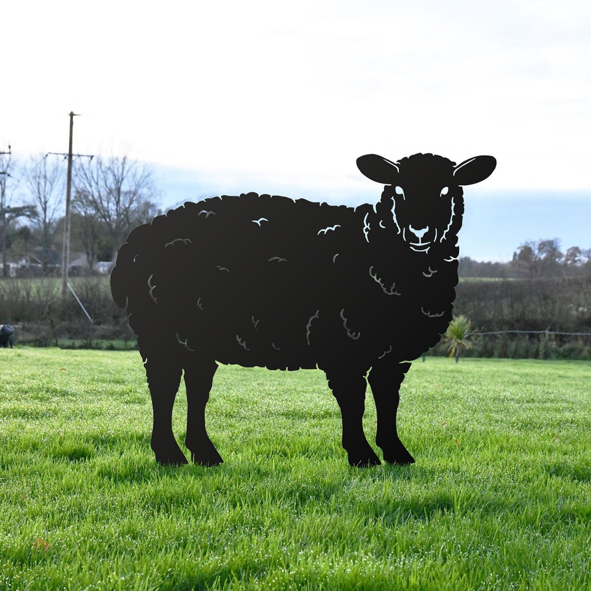 Curly Sheep Silhouette in Black