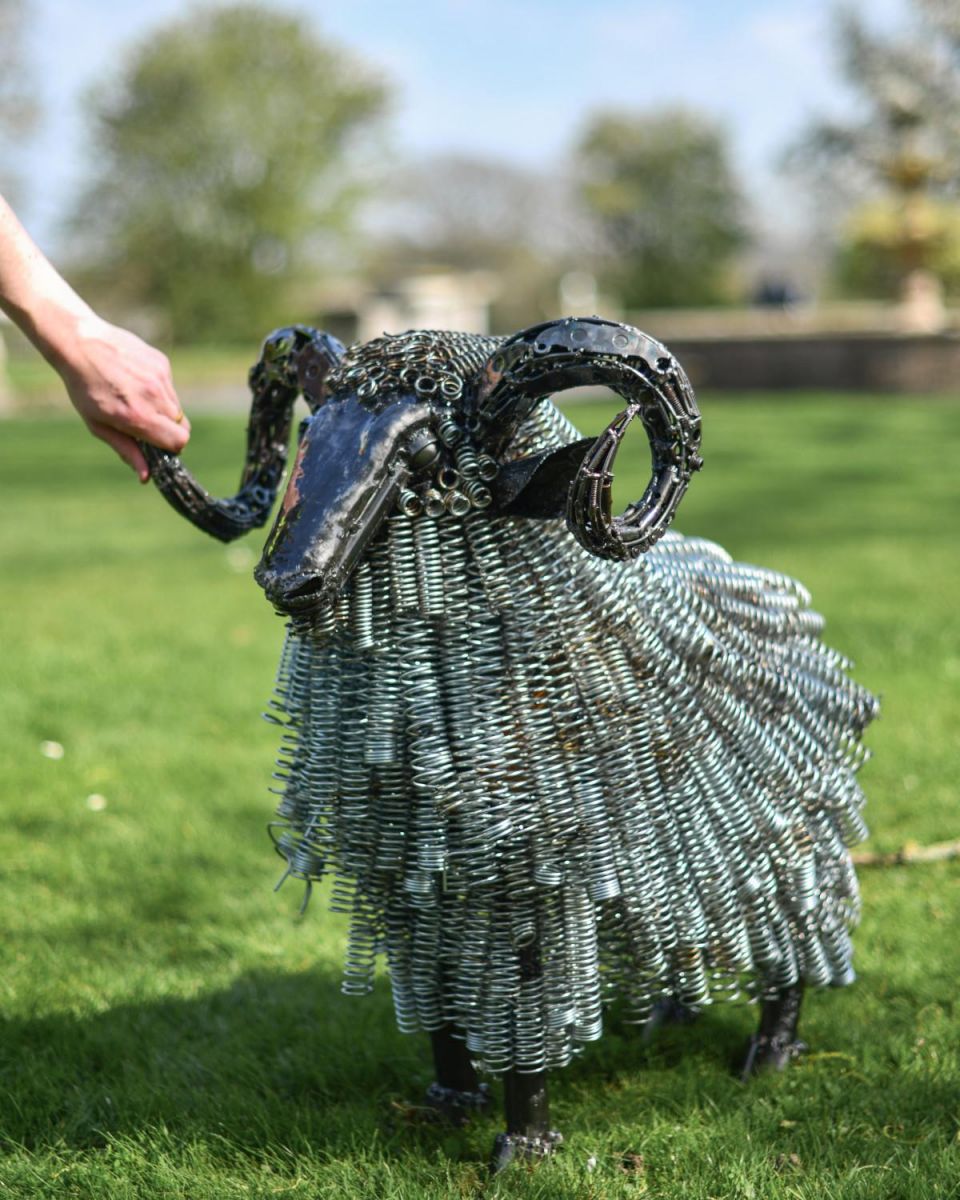 Scale Shot of Deluxe Recycled Twisted Metal Ram Garden Sculpture - Life Size Outdoor Ornament