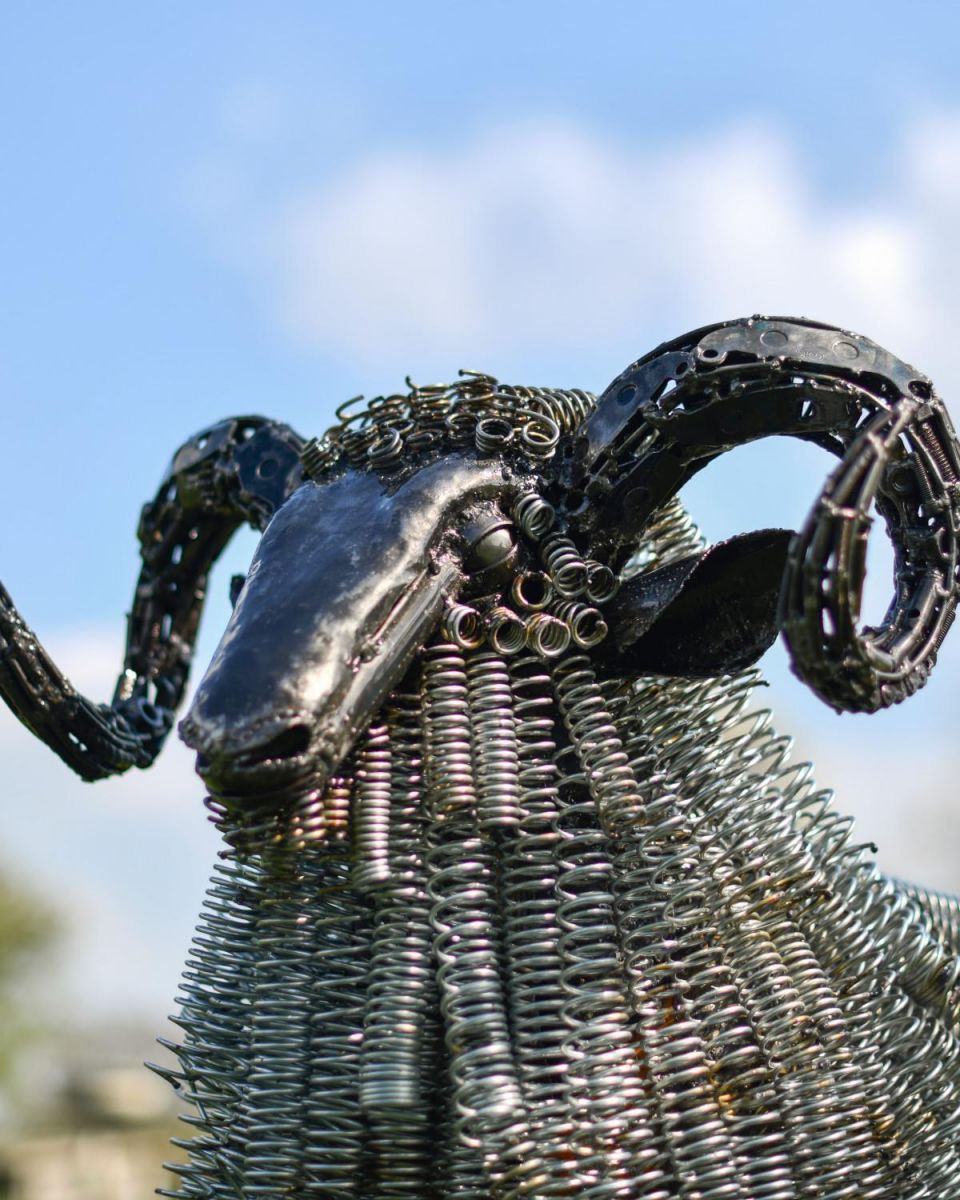 Close-Up of Life Size Twisted Metal Ram Garden Sculpture