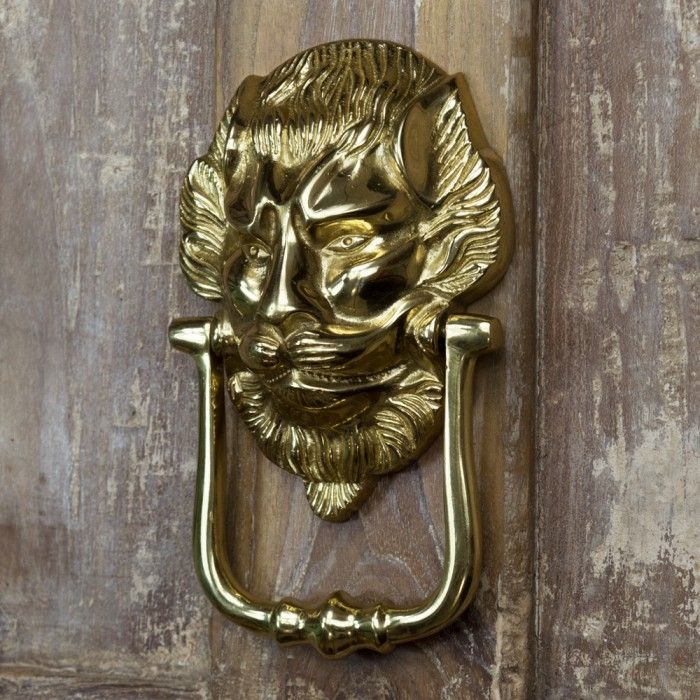 "Downing street lion" Door Knocker on a Rustic Door