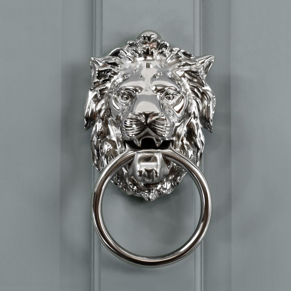 Large Lion head ascot lion door knocker with ring on grey door