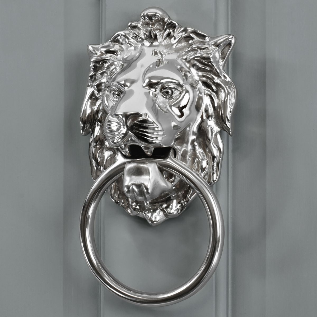 Bright Chrome Ascot Lion door knocker on grey door