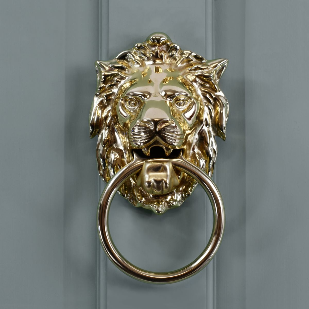 Large Lion head door knocker on grey door