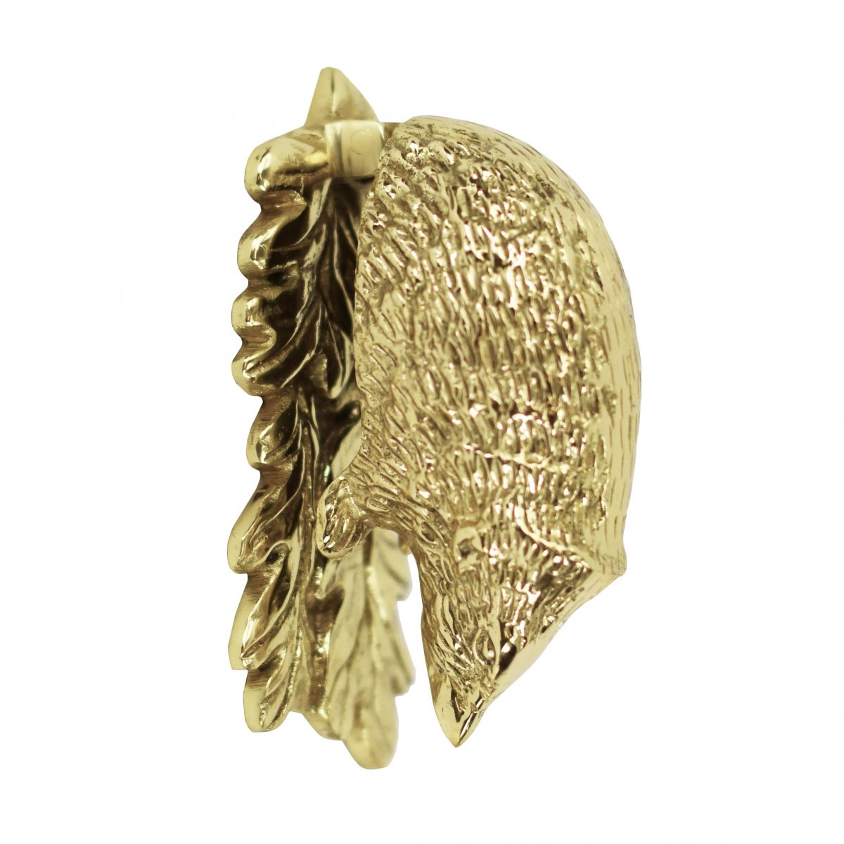 Polished Brass Hedgehog door knocker