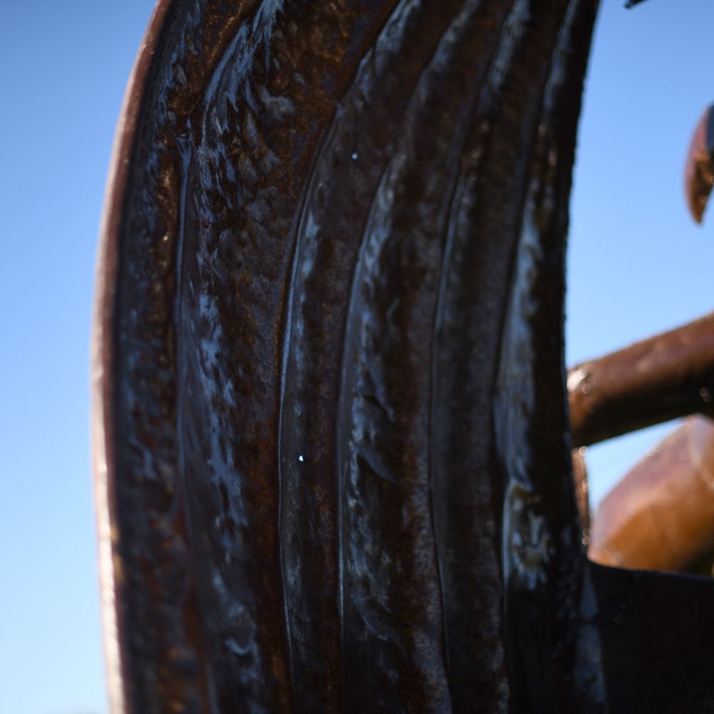 close-up Of The Wings On The Dragon