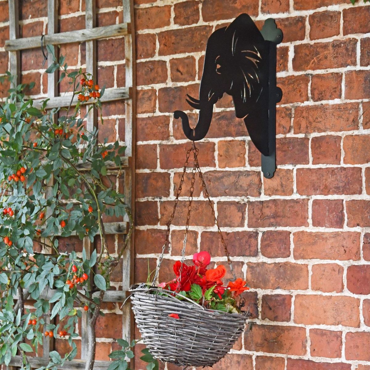 Elephant Trunk Hanging Basket Bracket in Situ 
