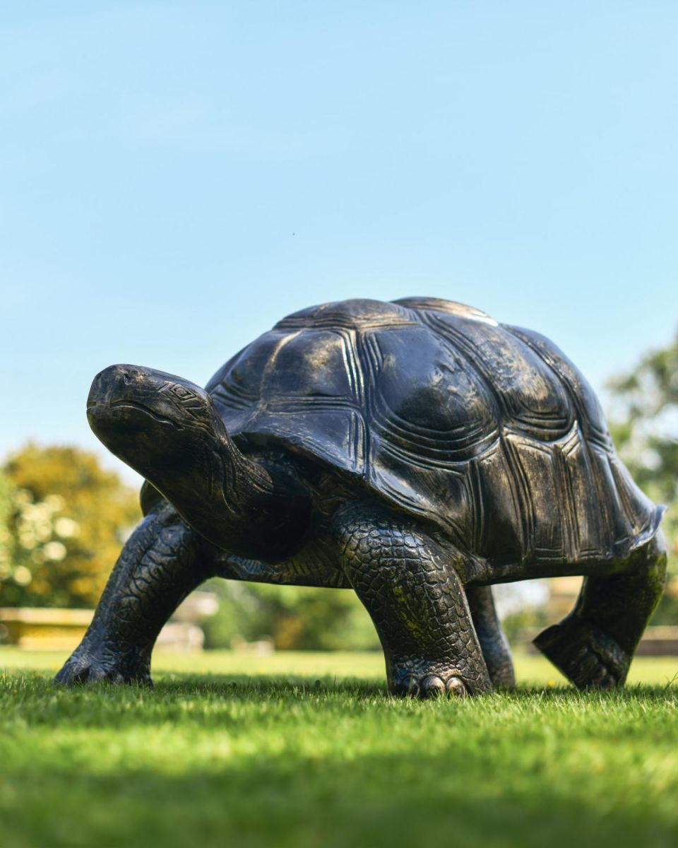 Extra Large Cast Aluminium "Charging" Tortoise Garden Sculpture in Situ