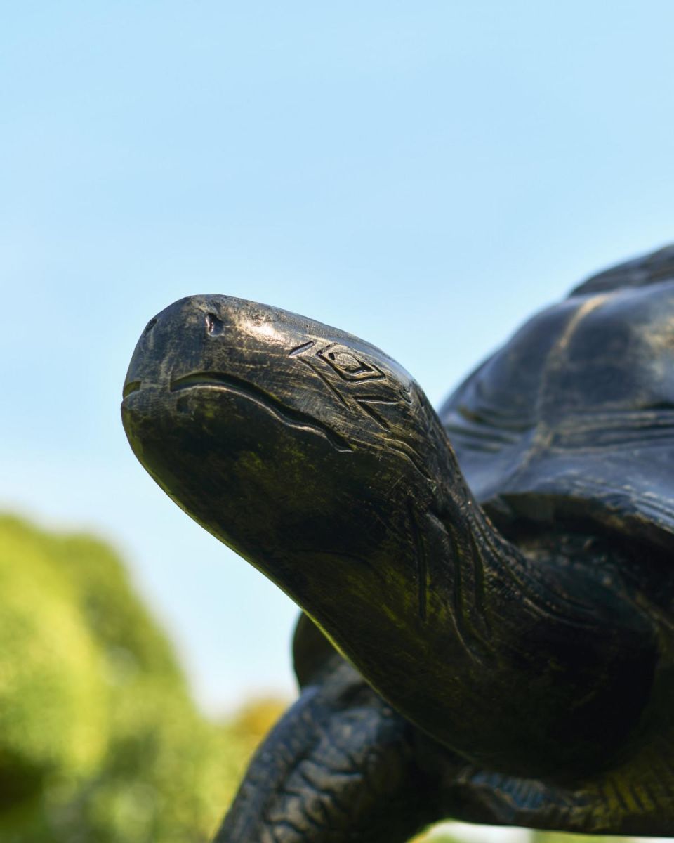 Close-Up of Tortoise Face on Extra Large Cast Aluminium "Charging" Tortoise Garden Sculpture