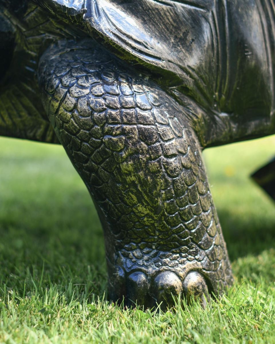 Close-Up of Scaled Pattern on Legs
