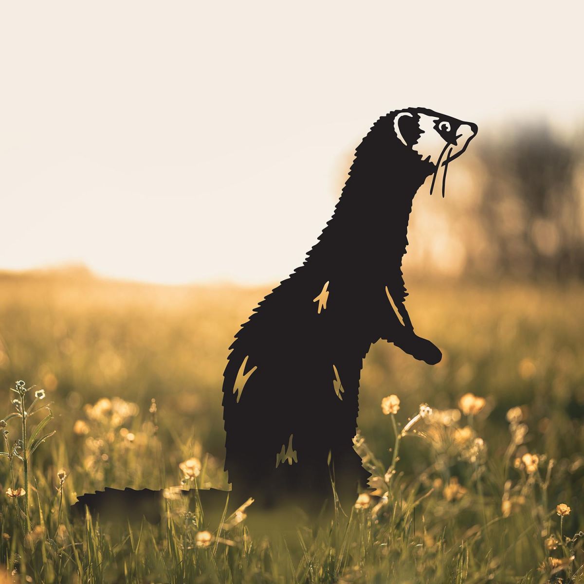 Standing Ferret Silhouette in Situ in the Garden