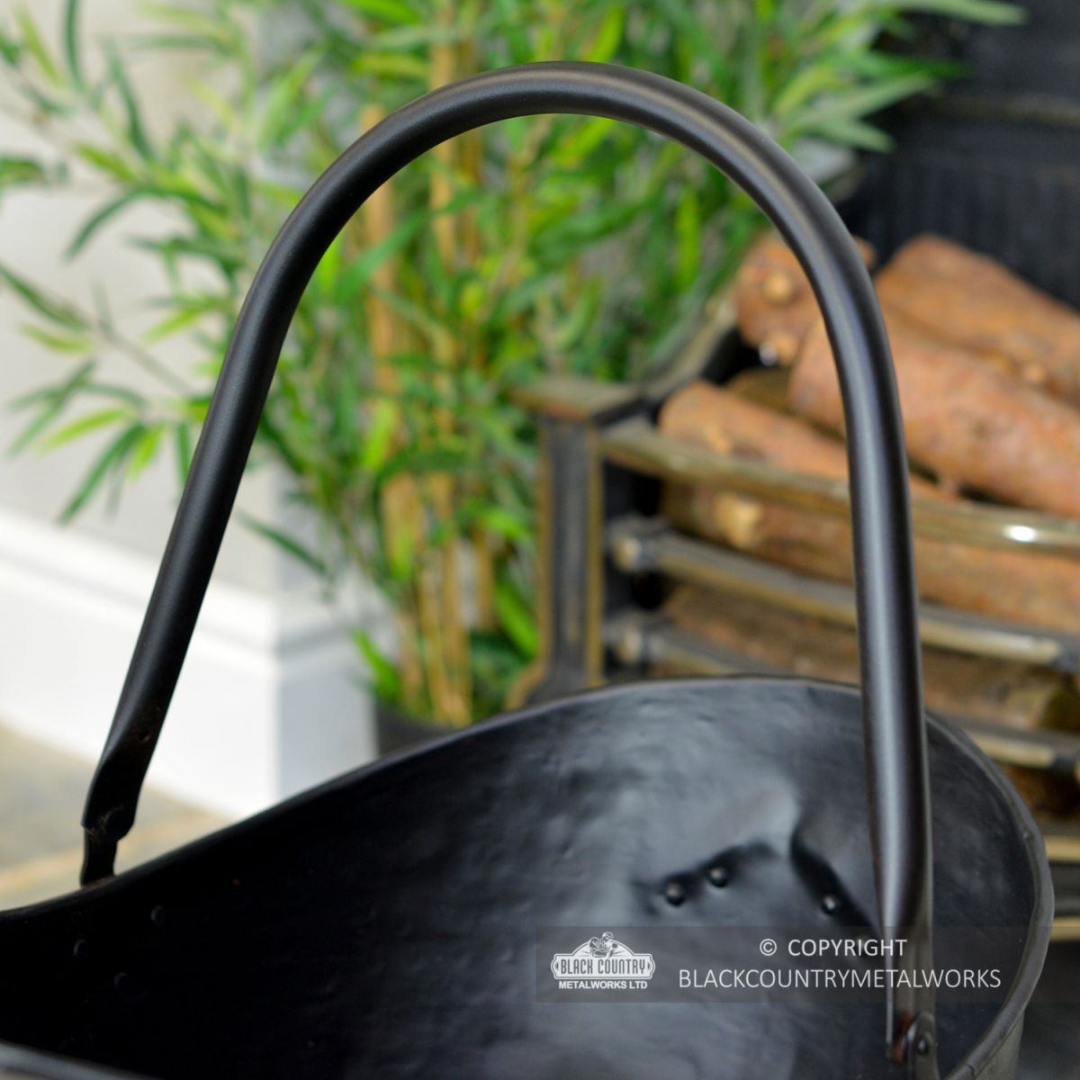 Close-up of the Carry Handle