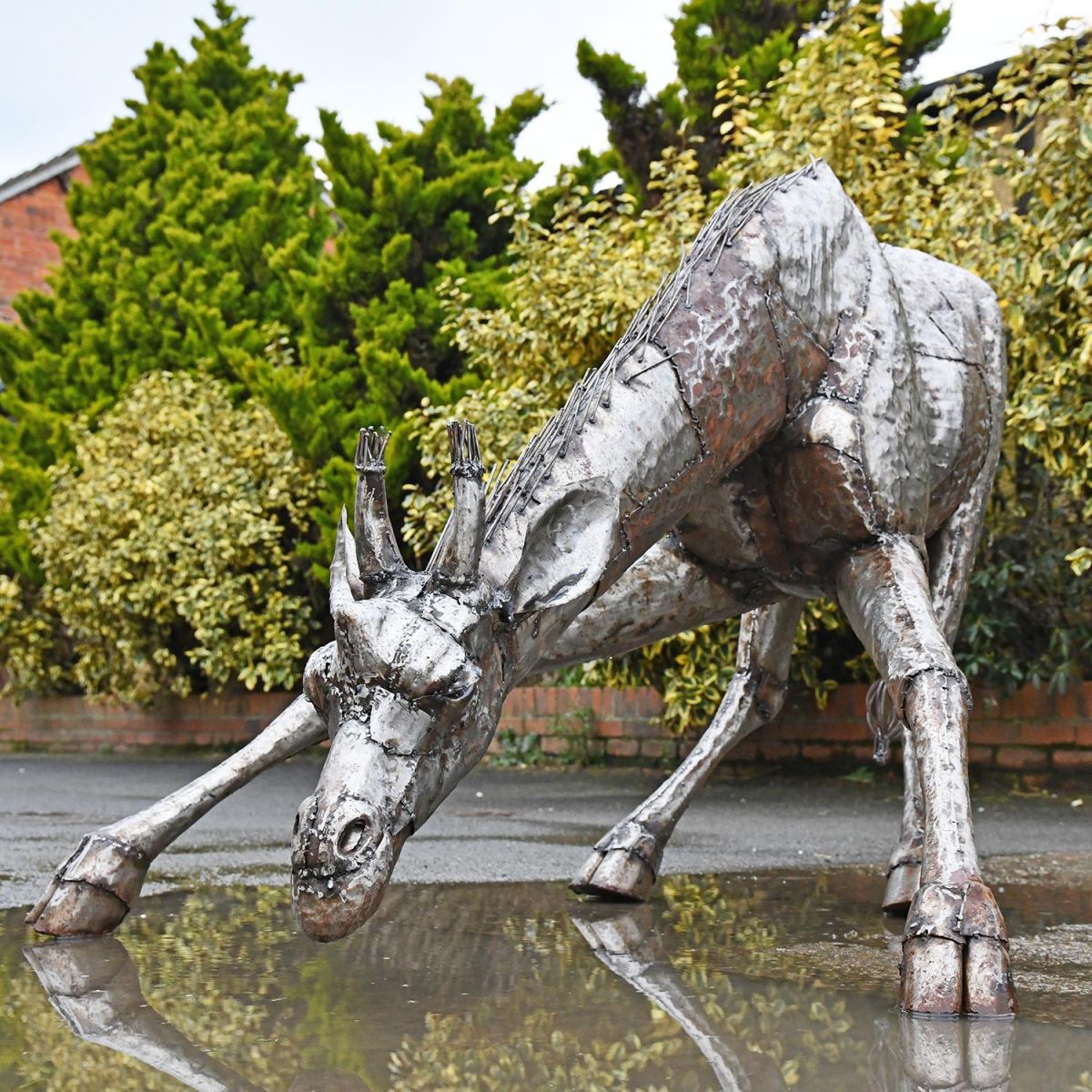  Drinking Giraffe Sculpture in Situ Outdoors