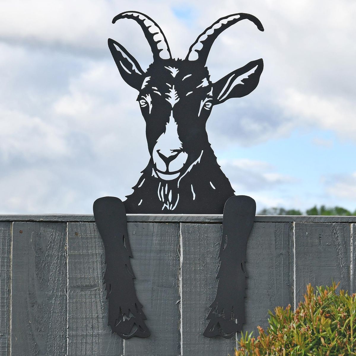 Goat Leaning Fence Topper in Situ