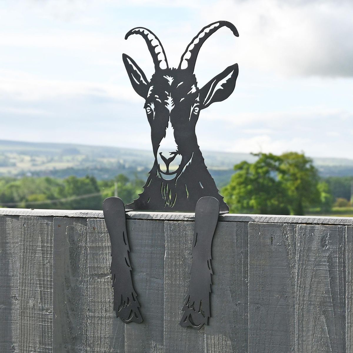 Goat Leaning Fence Topper From the Side 