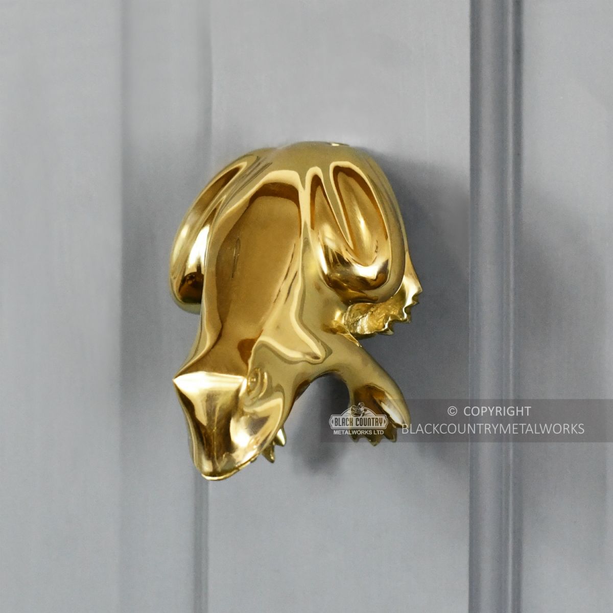 Grey Door With Polished Brass Frog Door Knocker