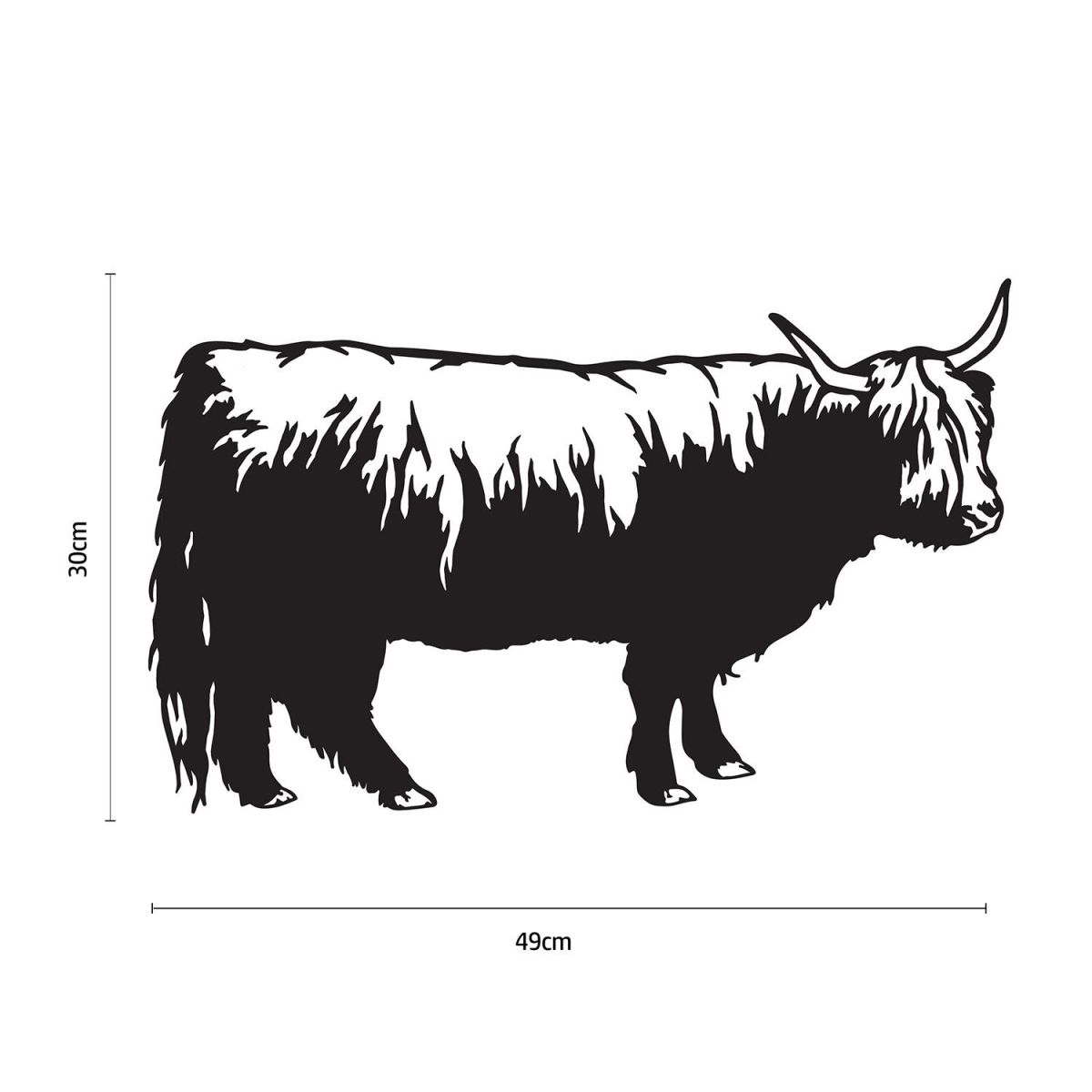 Highland Cow Wall Art Dimensions 