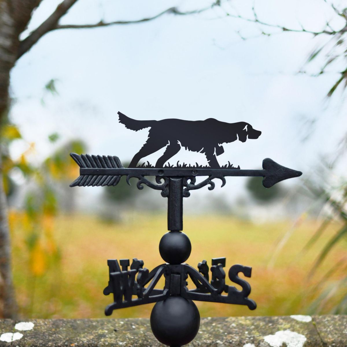  Irish setter weathervane in the countryside