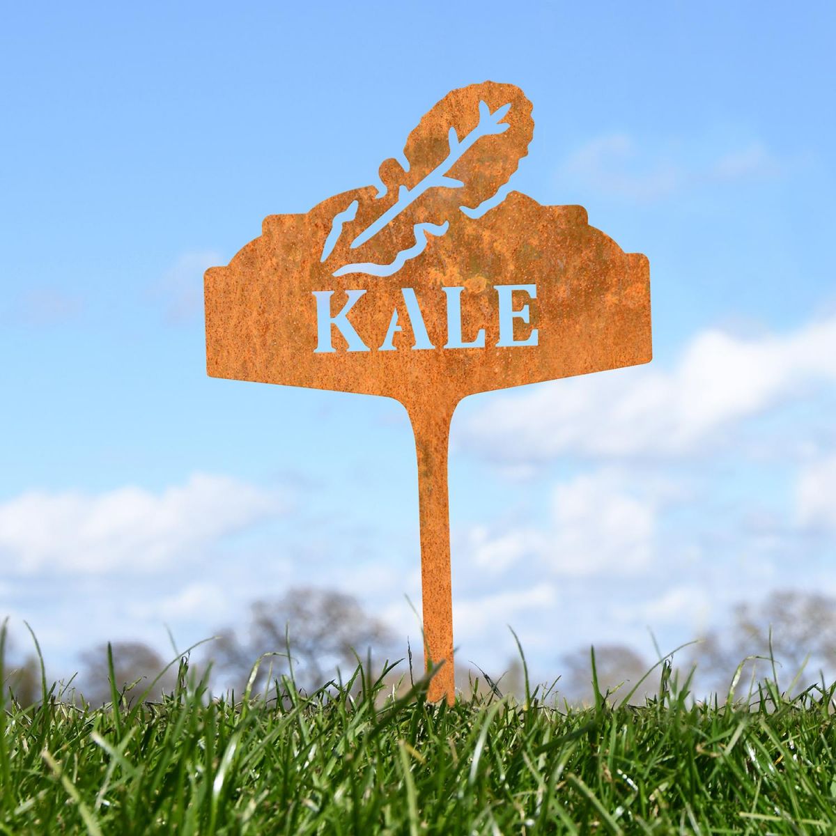 "Kale" Vegetable Label in Situ