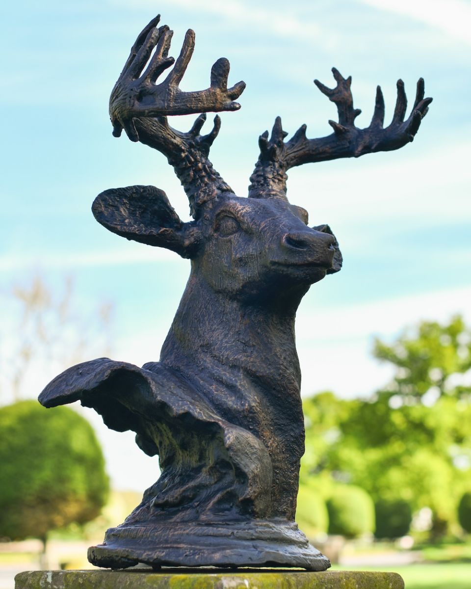 Cast Aluminium Stag Bust - Left Facing