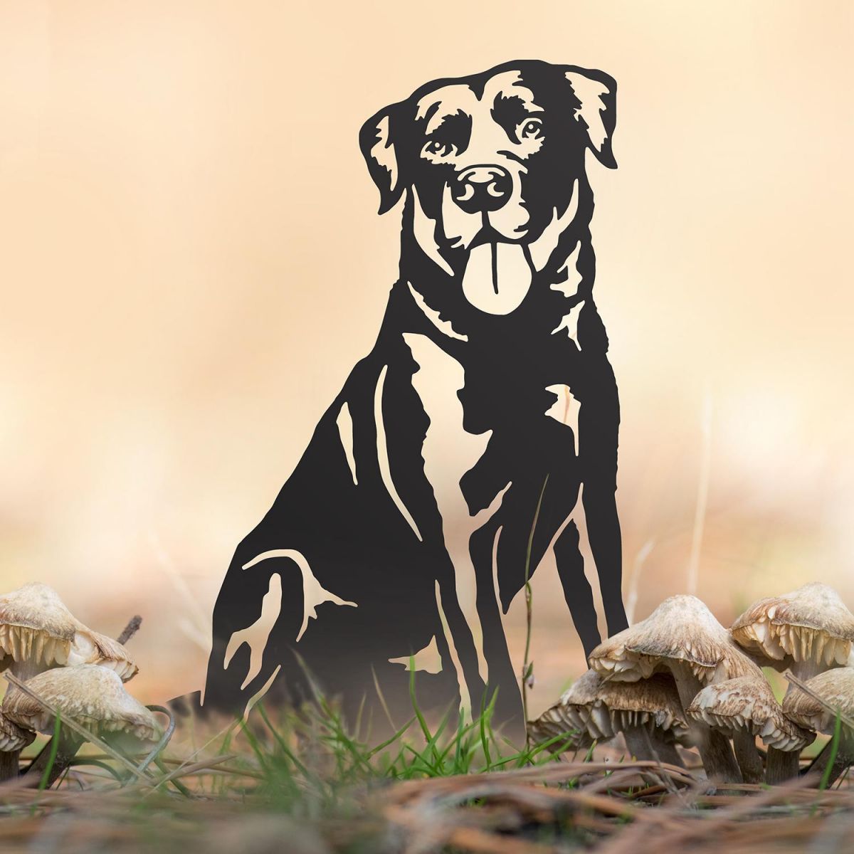 Labrador Silhouette in Situ