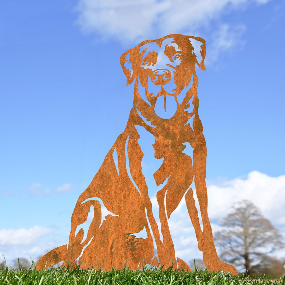 Labrador Silhouette on Display Outside 