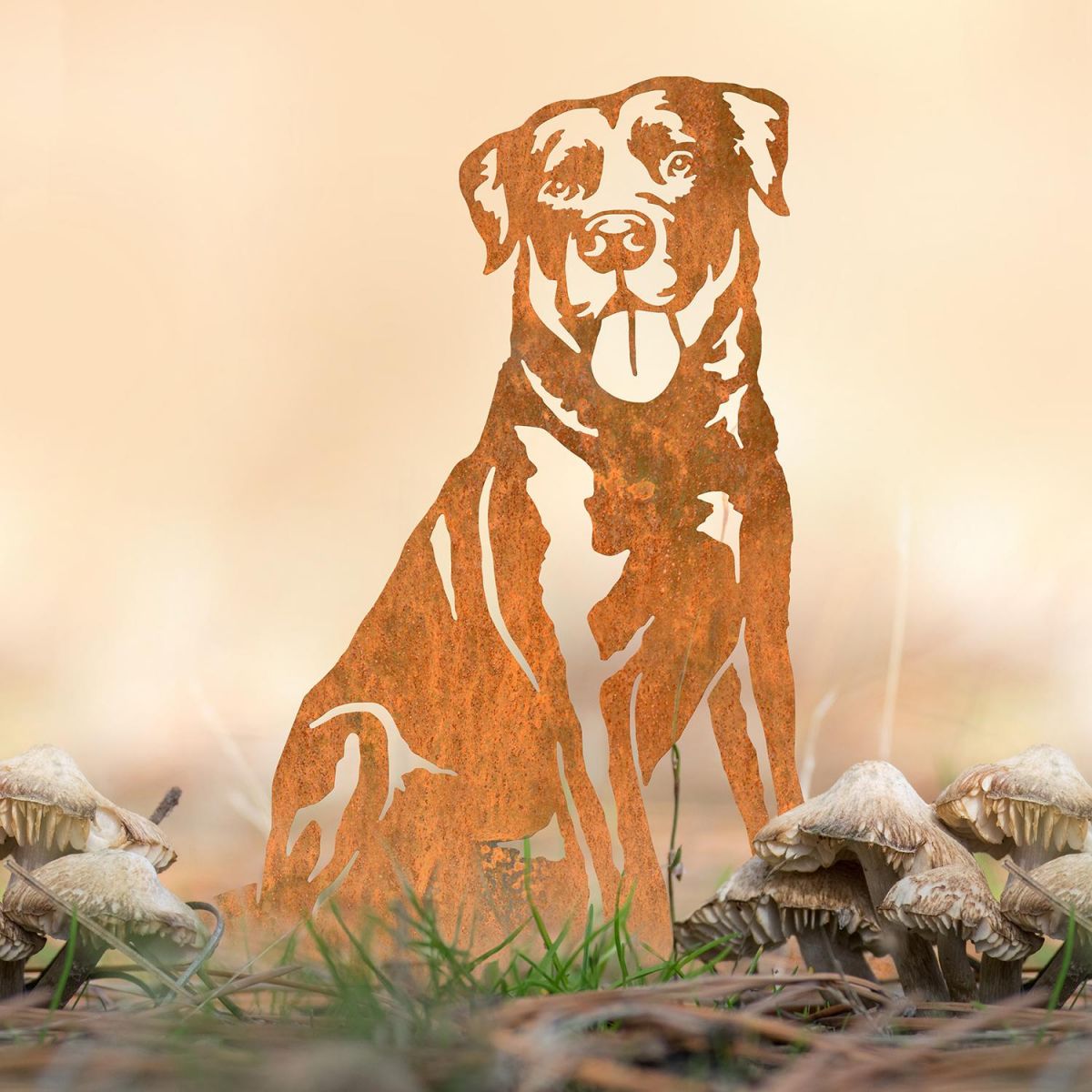 Labrador Silhouette in Situ