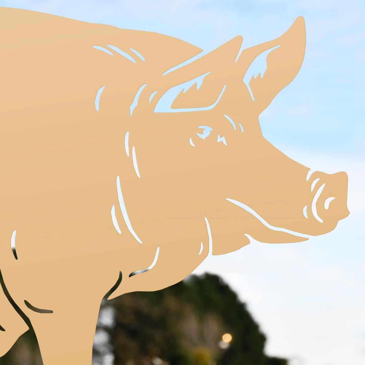 Close up of Sitting Pig Silhouette 