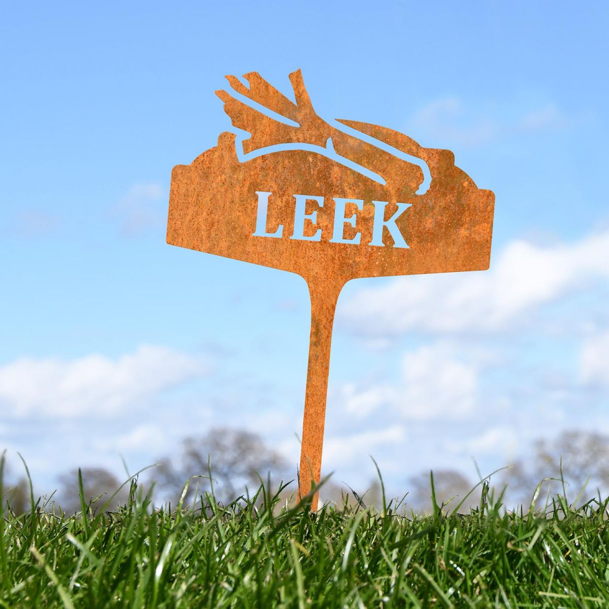 "Leek" Vegetable Label in Situ