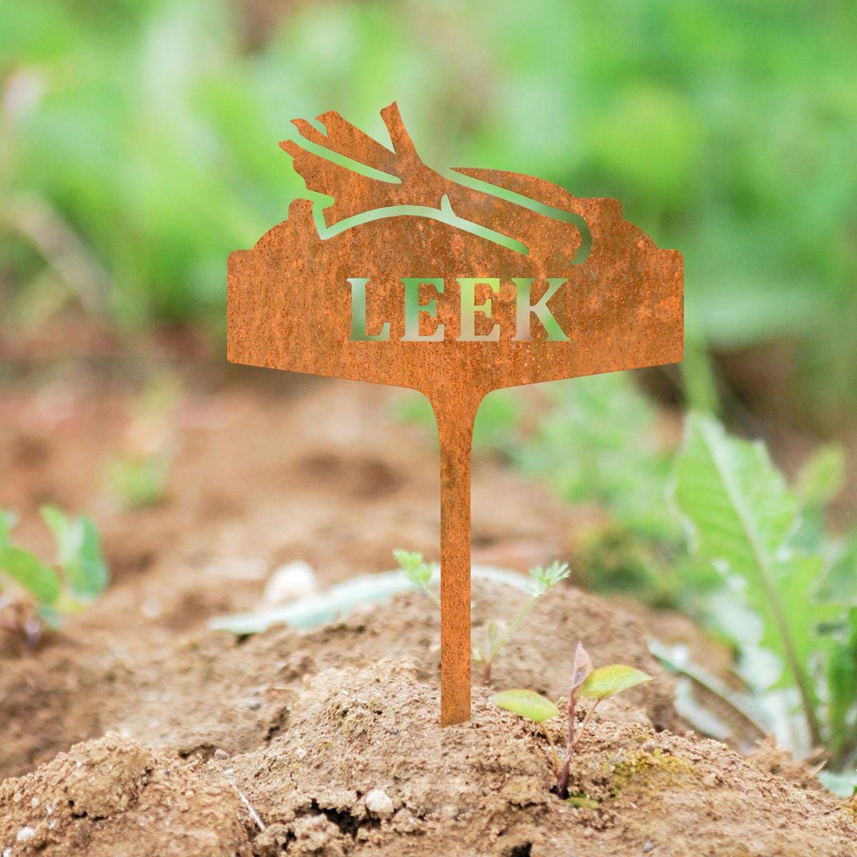 "Leek" Vegetable Label in Situ in the Garden