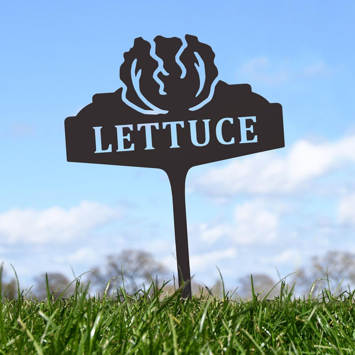 "Lettuce" Vegetable Label in Situ
