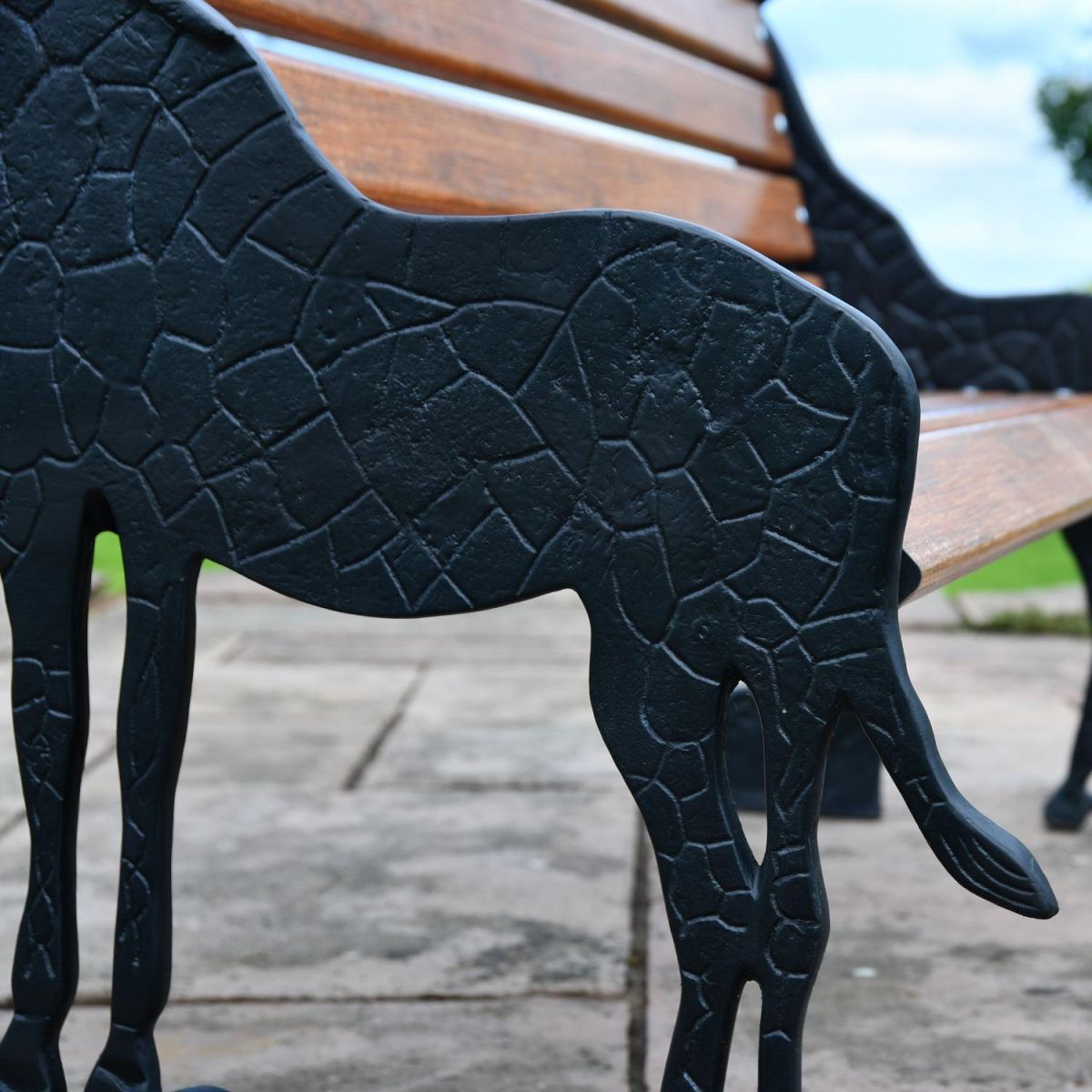 Close up of Giraffe detailing 