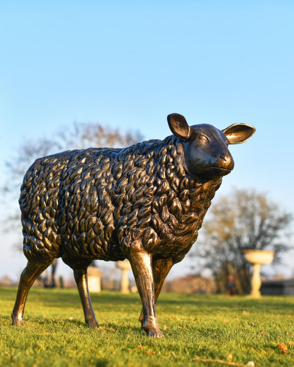 Life Size "Spencer" Sheep Sculpture In A Garden Setting