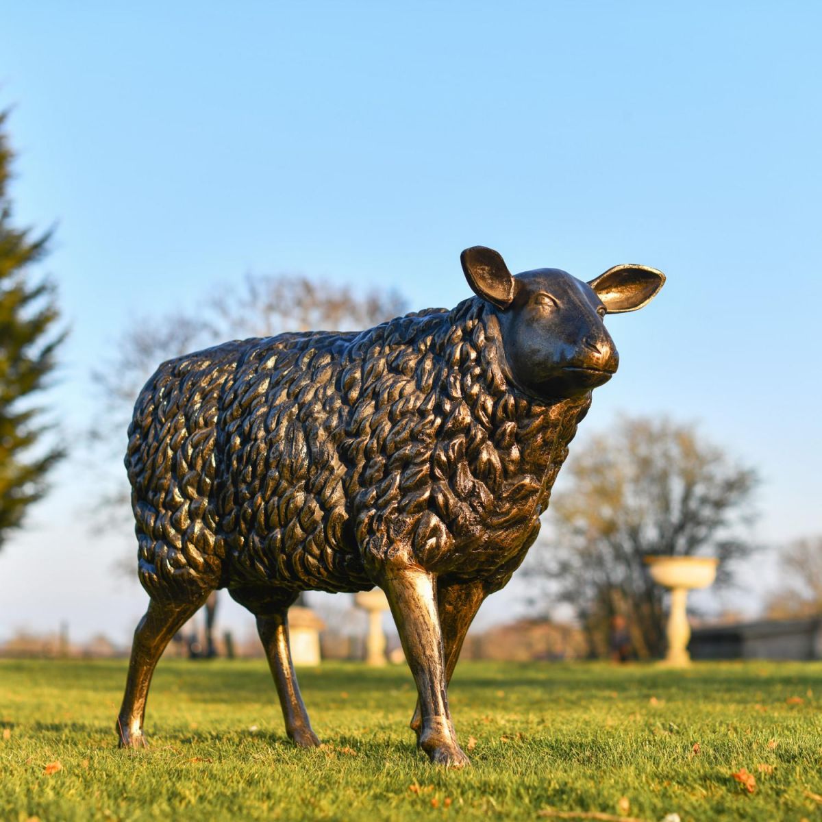 Life Size "Spencer" Sheep Sculpture In Situ