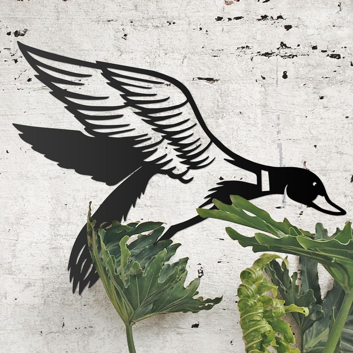 "Mallard" Duck Wall Art