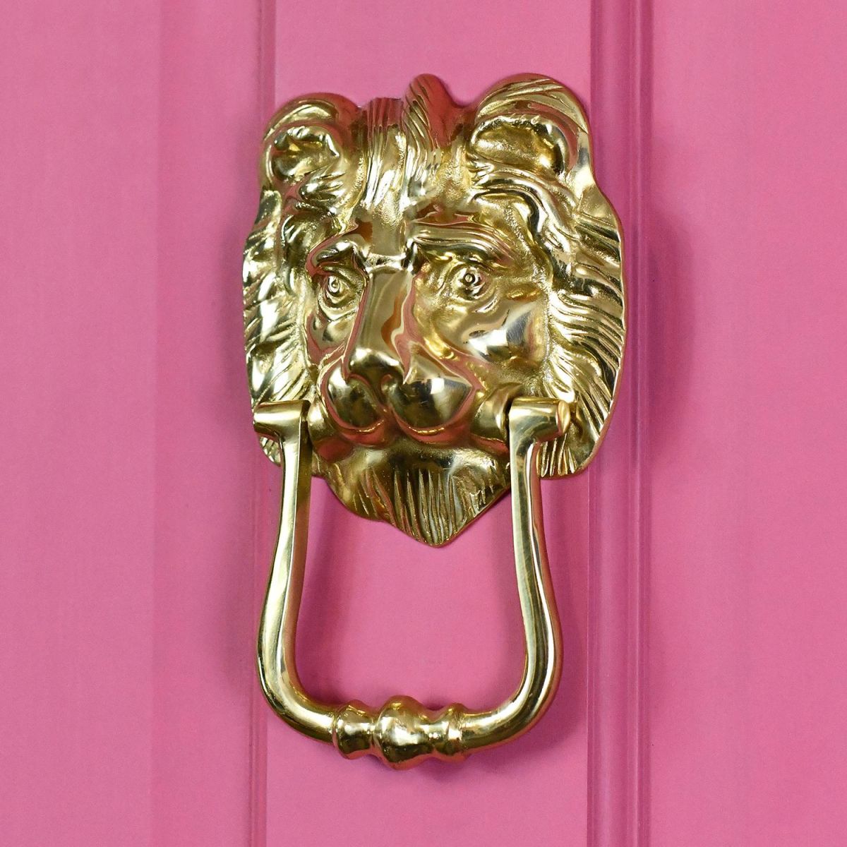 Polished Brass Mayfair Lion Door Knocker