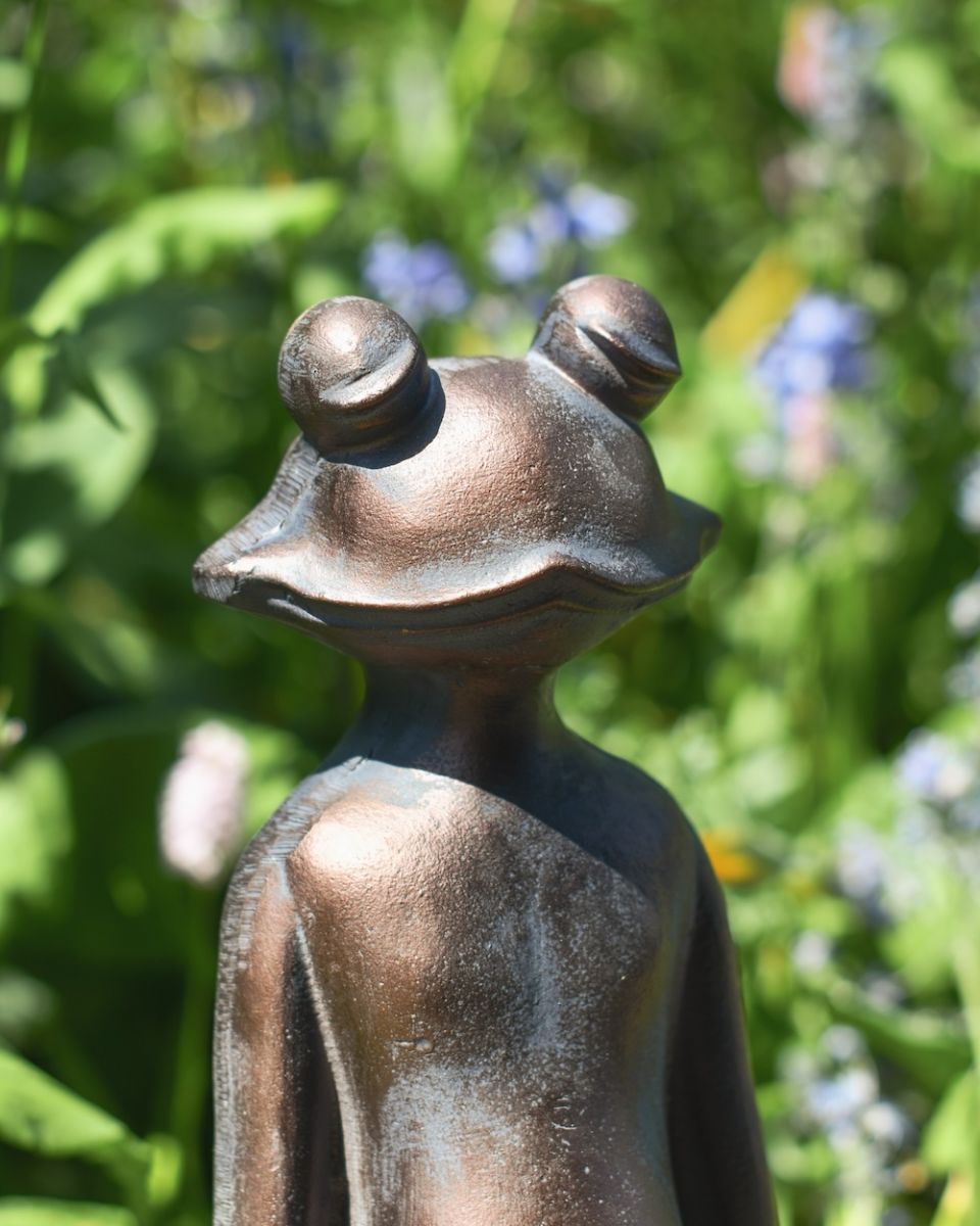 Close up of frog face detail on garden statue