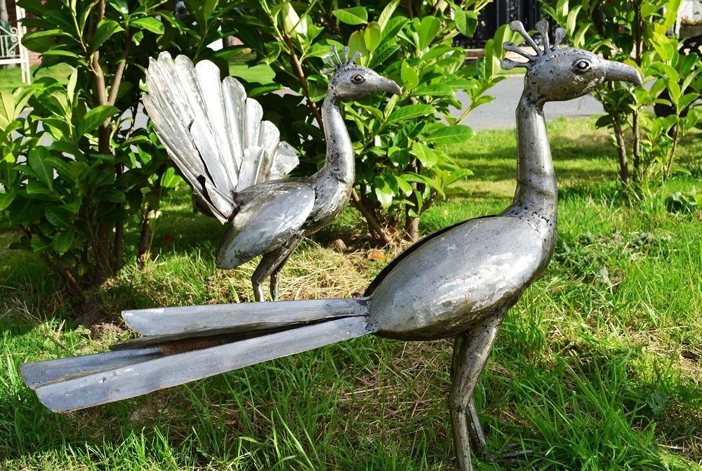 “Pavo Cristatus” Indian Peafowl Sculptures 