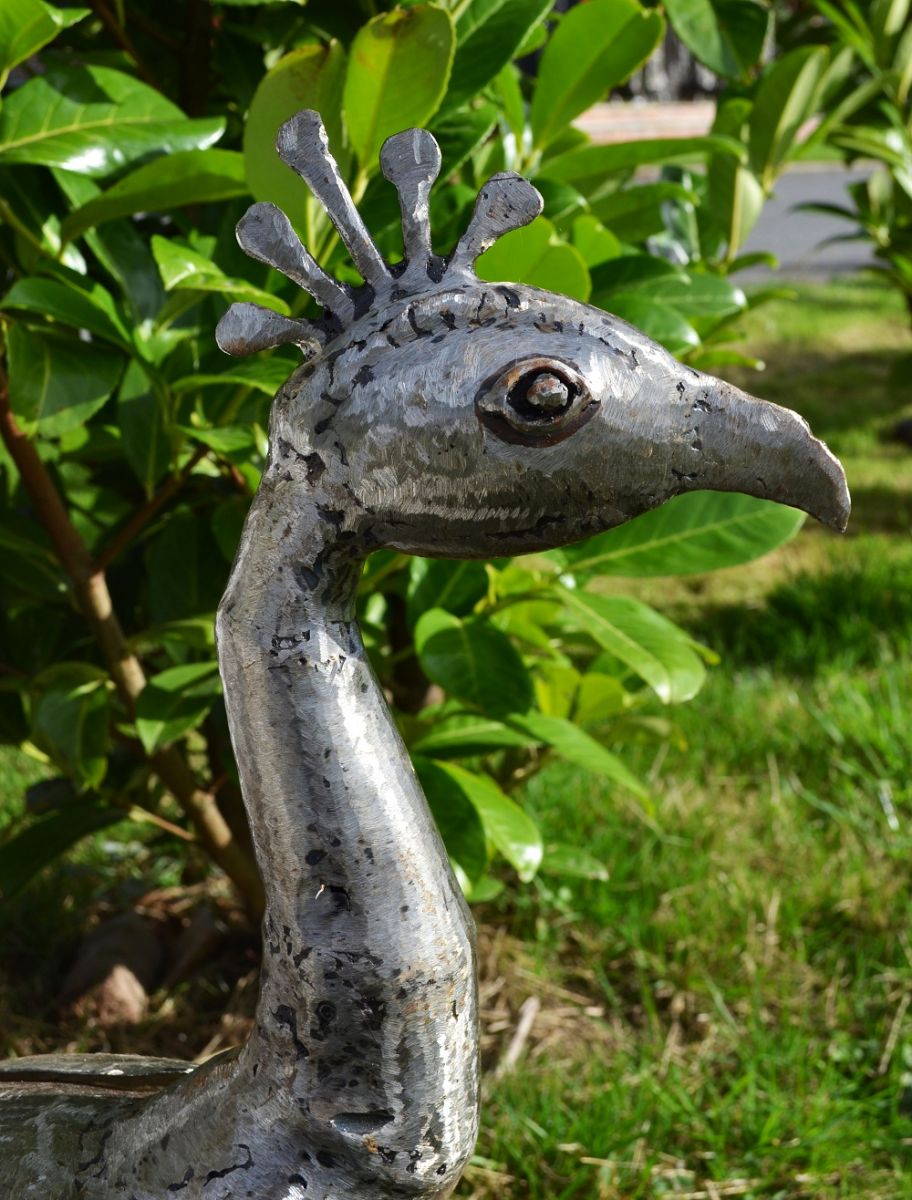 “Pavo Cristatus” Indian Peafowl Sculptures 