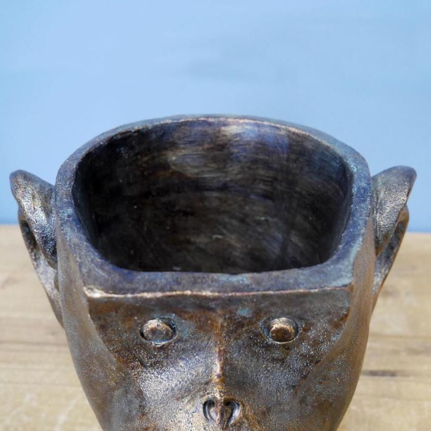 View of the Top of the Monkey Header Planter
