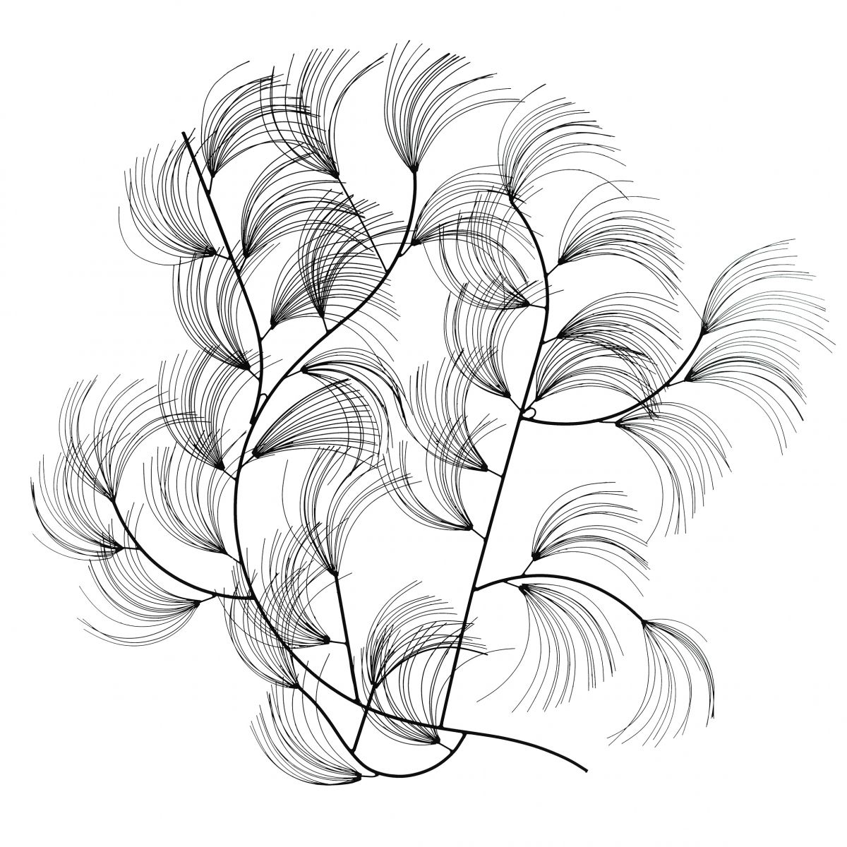 Floral Design Wall Art