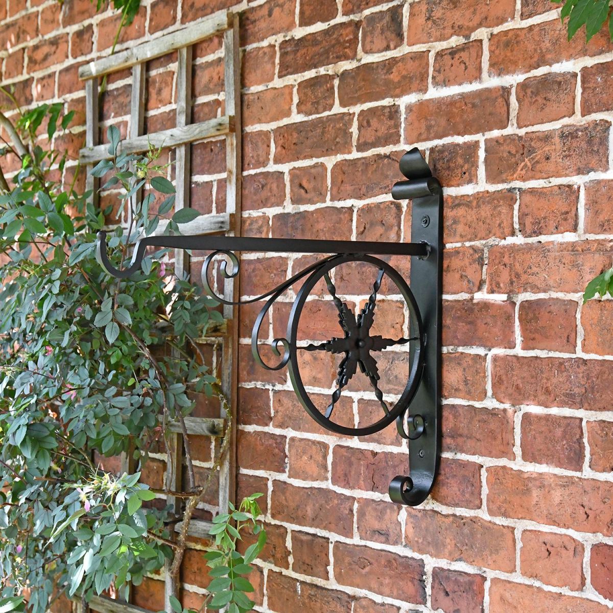 "Northern Star" Hanging Basket Bracket in Situ on a Brick Wall
