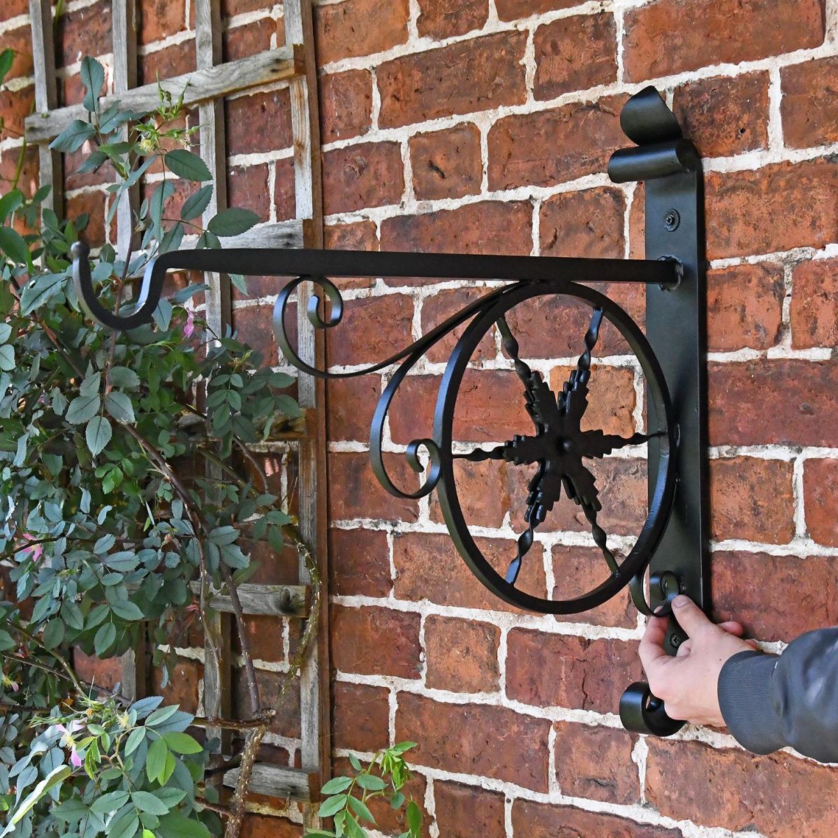 "Northern Star" Hanging Basket Bracket to Scale