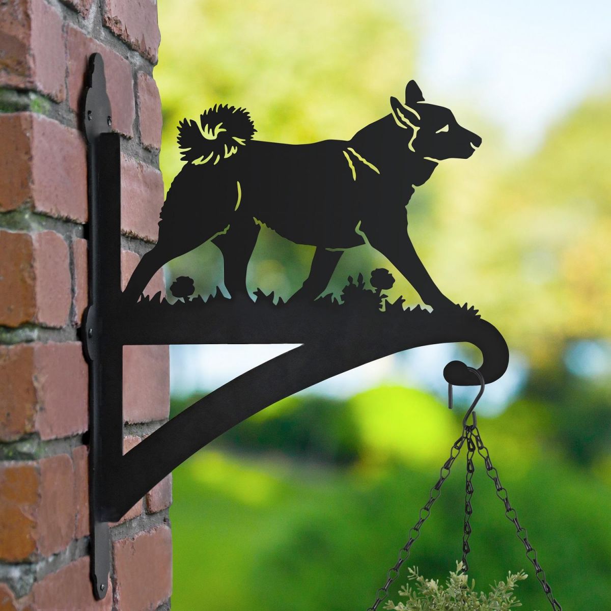 Norwegian Budhund Bracket Outside