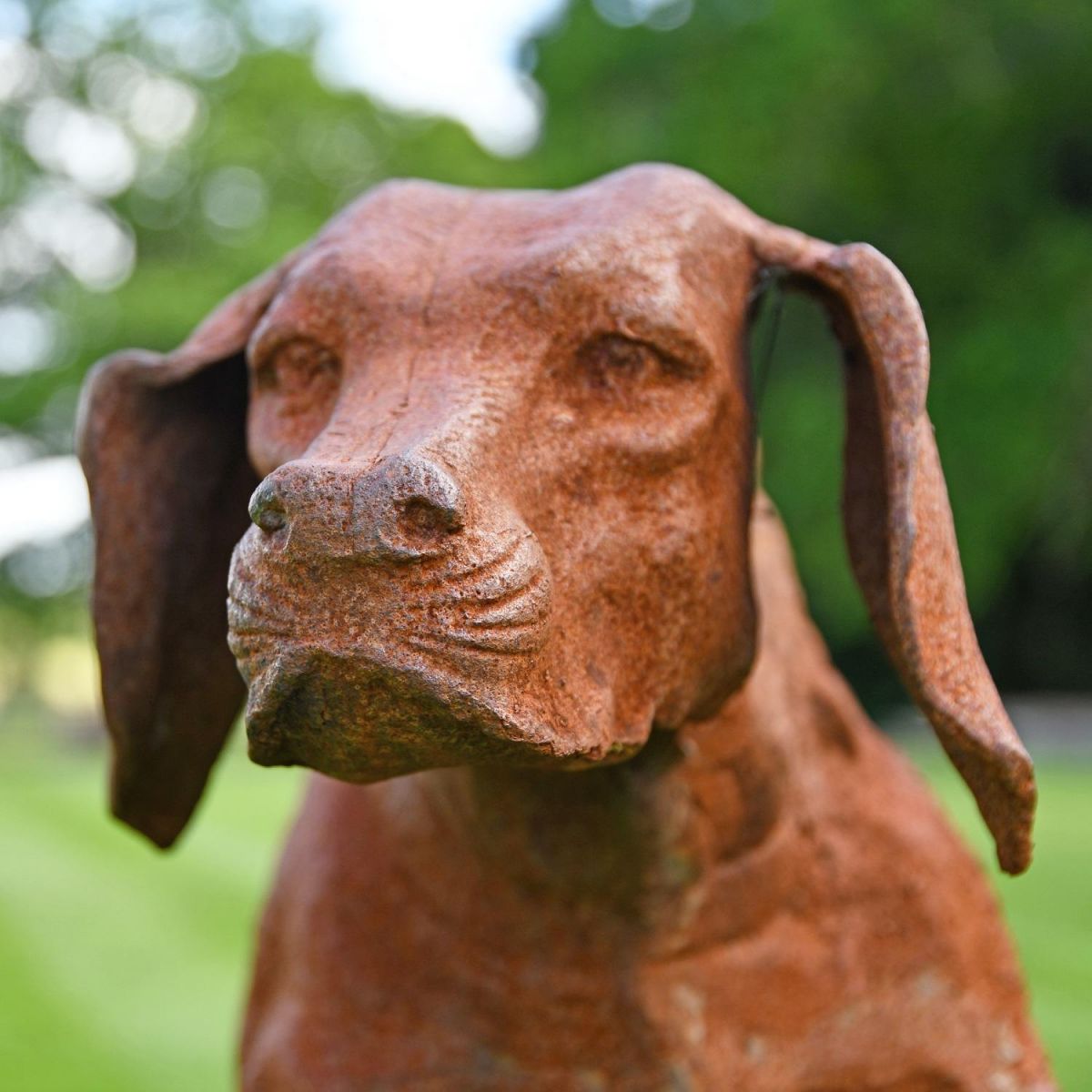 Close up of head on "Farmstead Hound" 