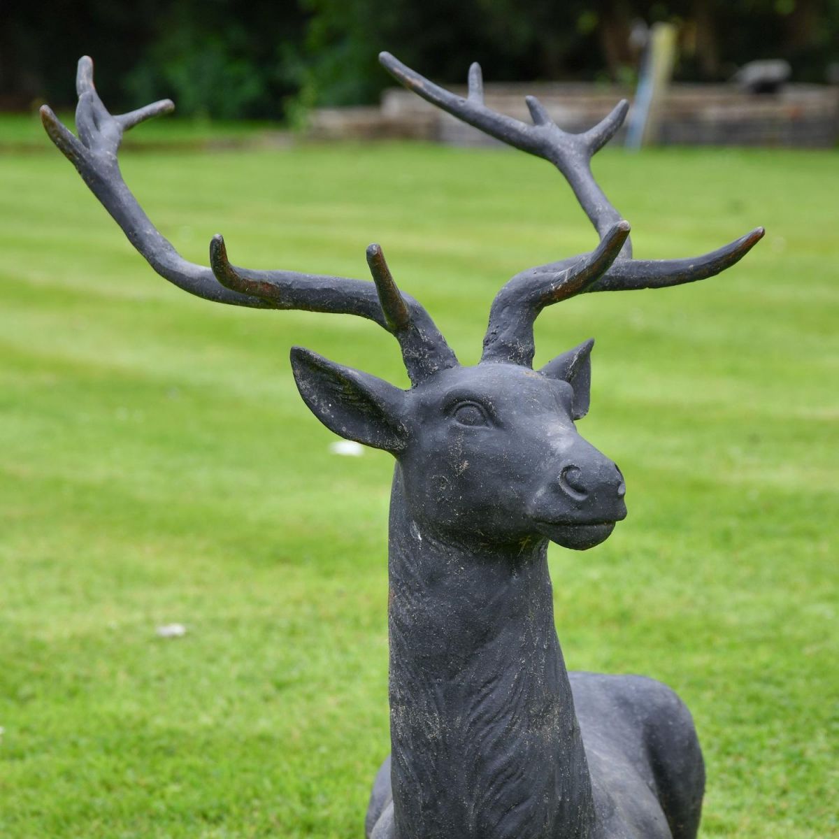 Close up of Cast Iron Stag Head and Antlers
