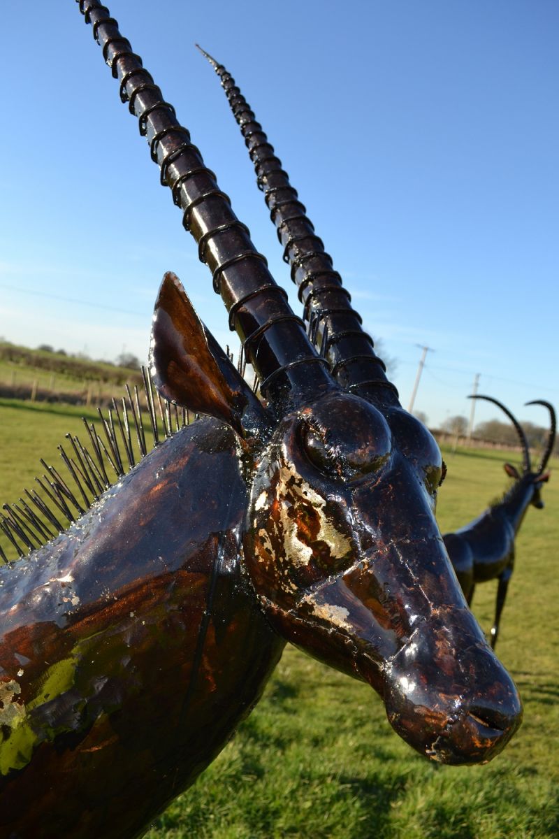 “Choroa Wilds” Oryx Sculpture