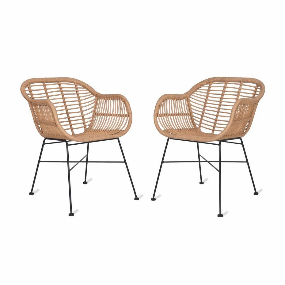 Pair of Dining Chairs Created From Polyethylene "Bamboo" 