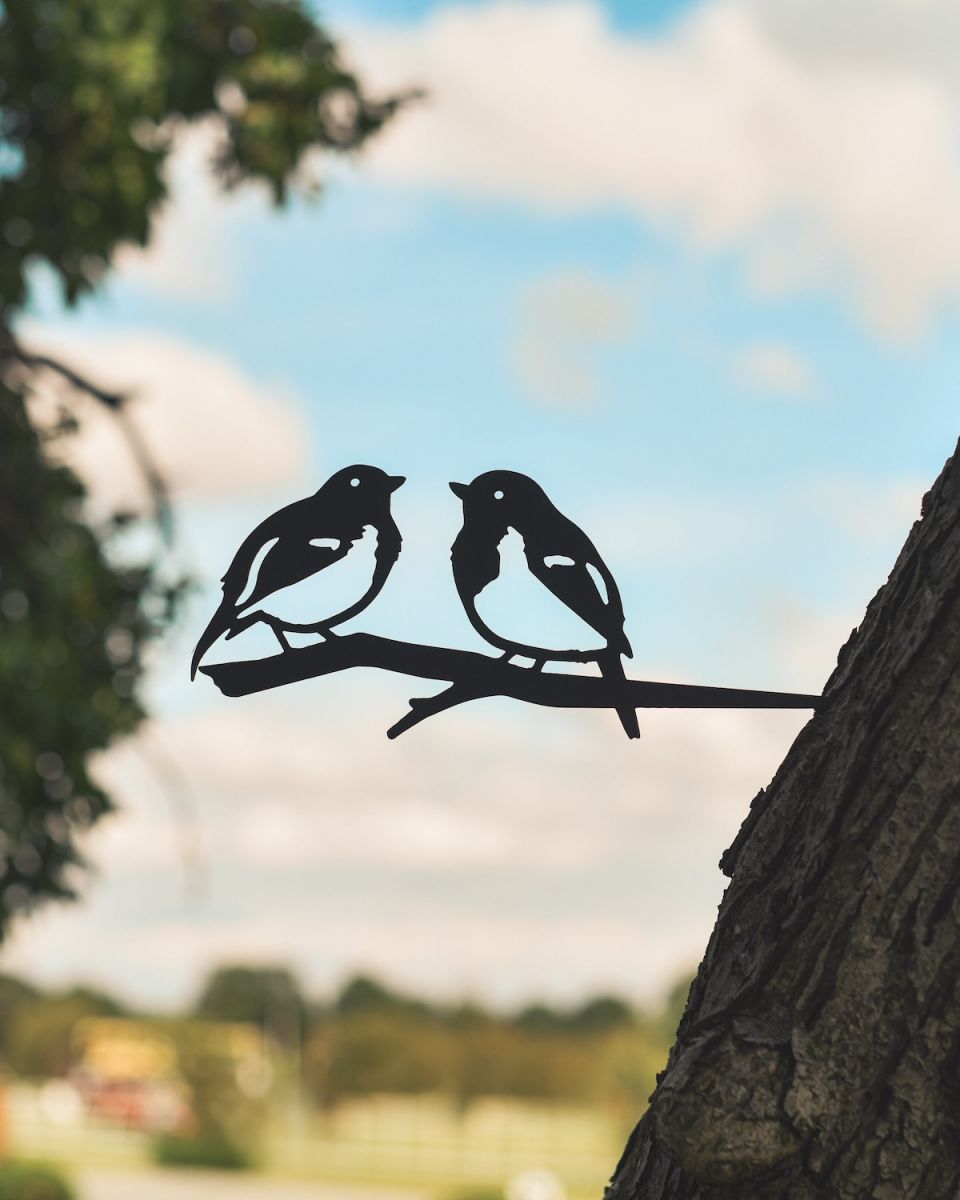 Pair of Robins Steel Tree Spike - Black