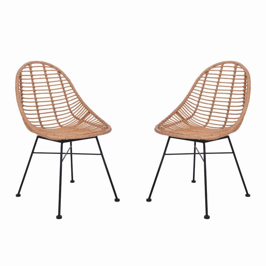 Pair of Scooped Dining Chairs Created From Polyethylene "Bamboo" 