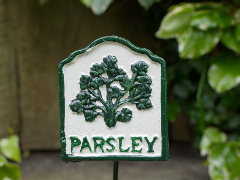 Painted Cast Iron Parsley Herb sign